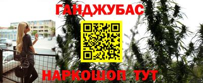 гашик Новокубанск