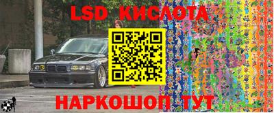 Альфа ПВП Новодвинск