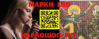 Альфа ПВП Новодвинск
