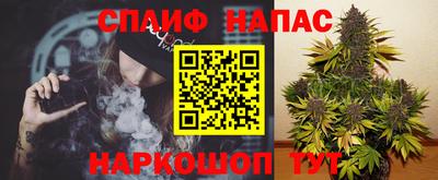 Альфа ПВП Новодвинск