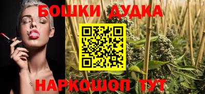 ECSTASY Новозыбков