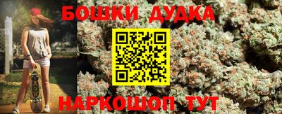 гашик Новокубанск