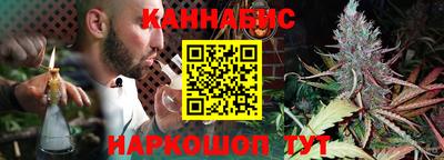Альфа ПВП Новодвинск