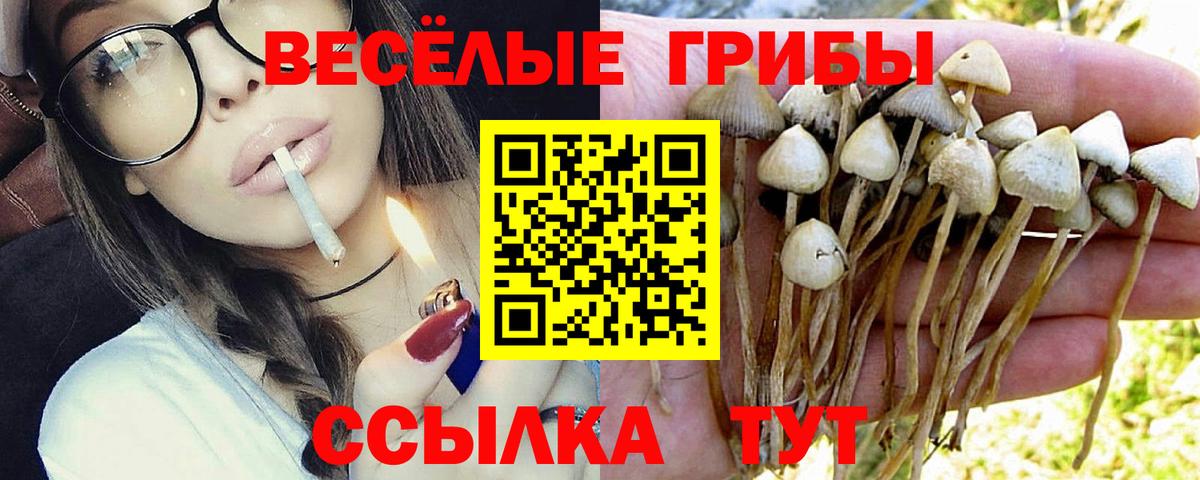 Псилоцибиновые грибы MAGIC MUSHROOMS  Галлюциногенные грибы мицелий  Ярославль  Вход с VPN 